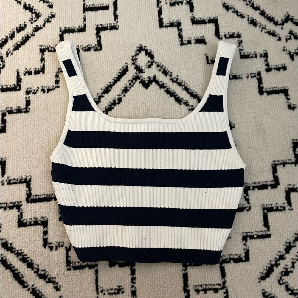 Aritzia Babaton Sculpt Knit Tank